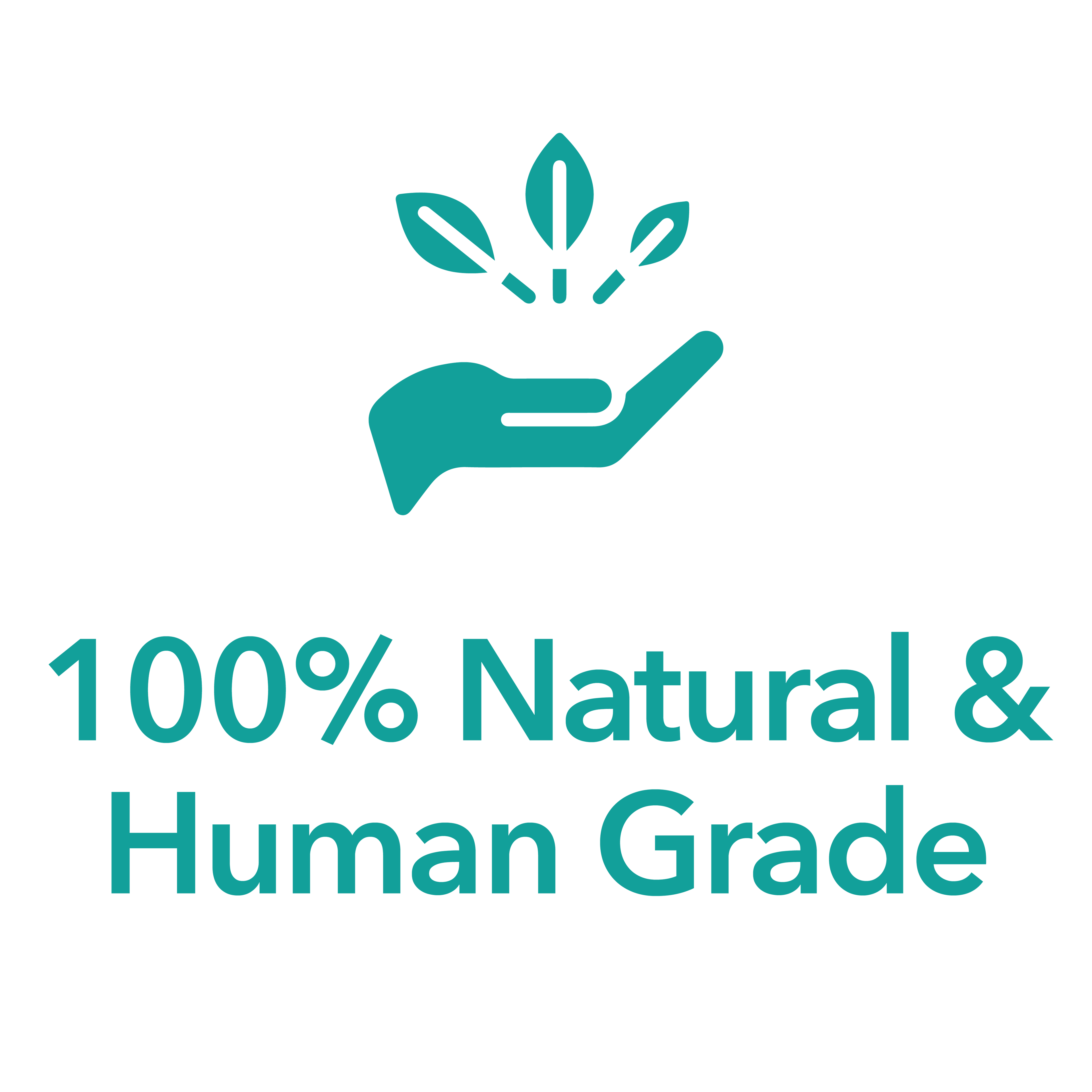 Liverlicious ( Liver & Carrot )